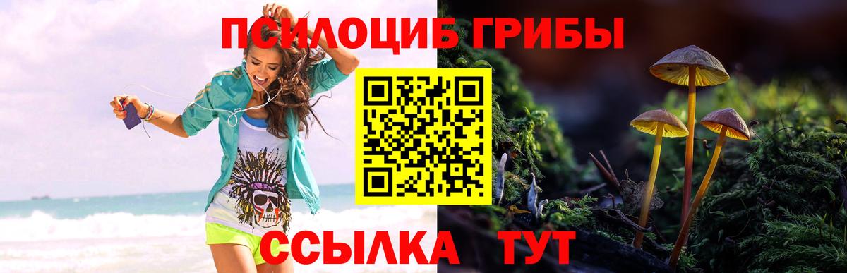 Галлюциногенные грибы MAGIC MUSHROOMS Нижнеудинск